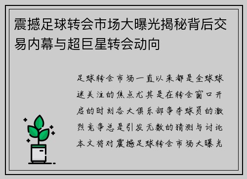 震撼足球转会市场大曝光揭秘背后交易内幕与超巨星转会动向 震撼足球转会市场大曝光揭秘背后交易内幕与超巨星转会动向