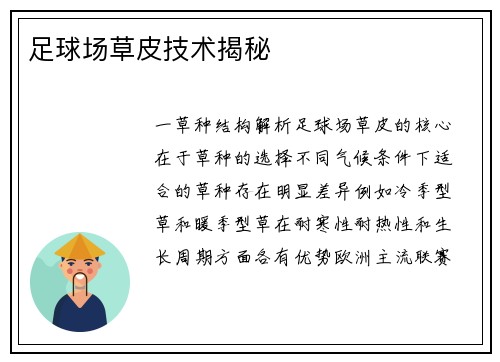 足球场草皮技术揭秘